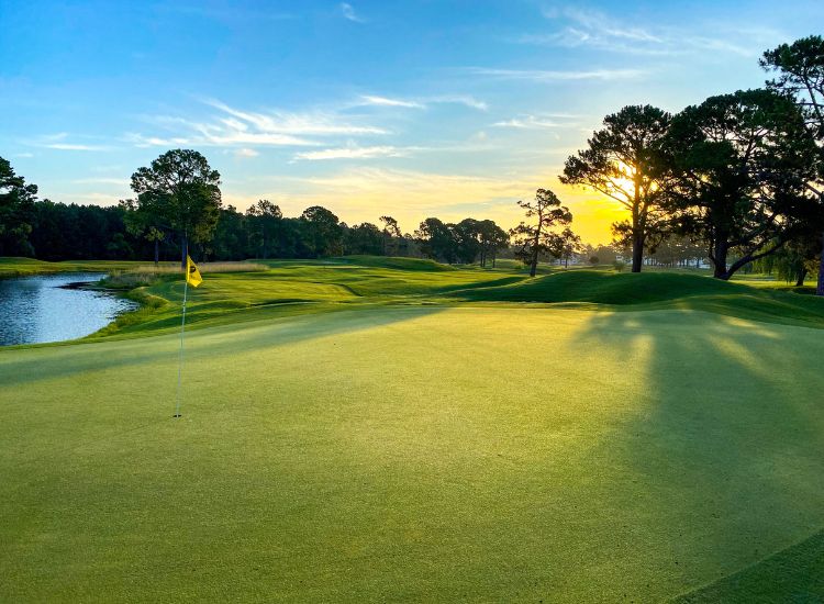 Myrtle Beach Golf Packages from Myrtlewood Golf